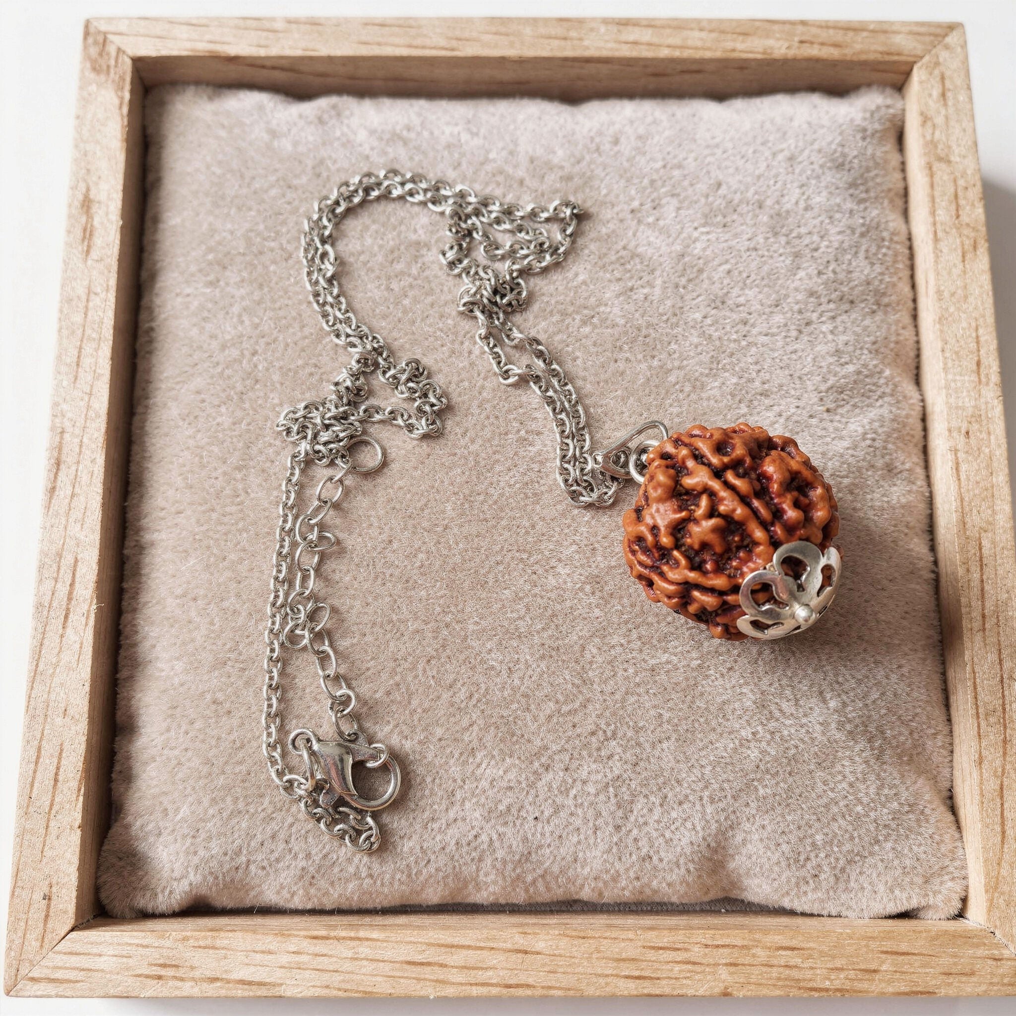 5 Mukhi Rudraksha Necklace | Silver Tone Spirit Shield
