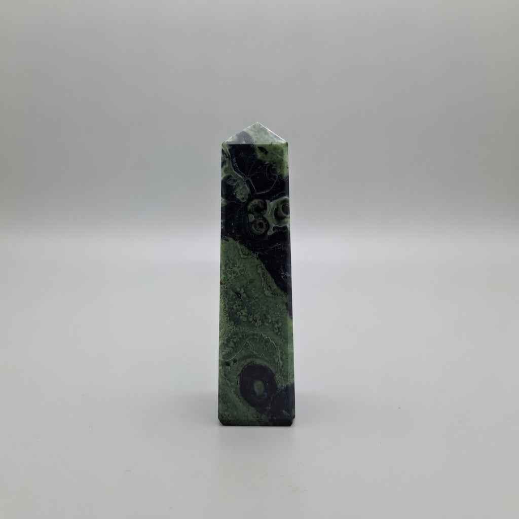 Kambaba Jasper Pointer | Grounding & Focus