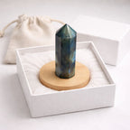 Labradorite Pointer | Focus, Clarity & Transformation