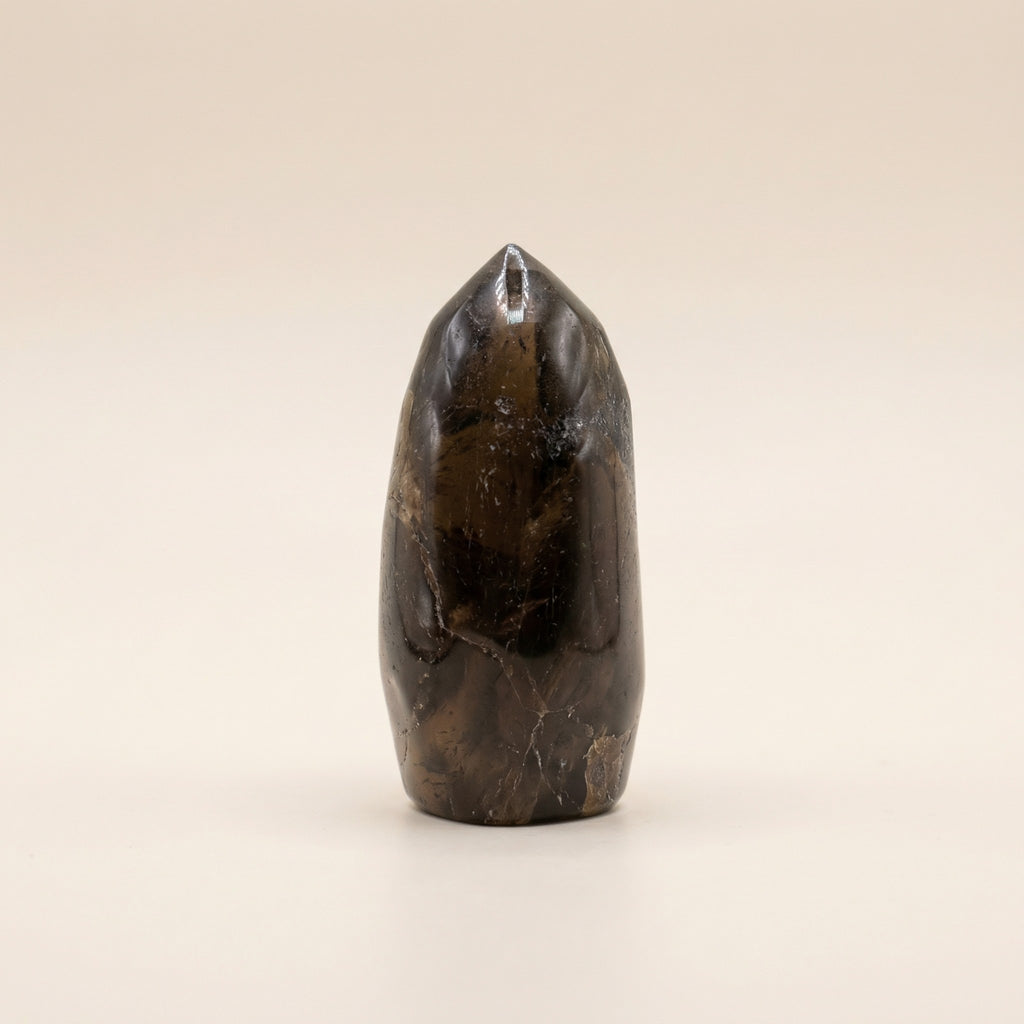 Labradorite Point Crystal | Focus & Transformation