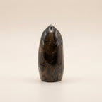 Labradorite Point Crystal | Focus & Transformation