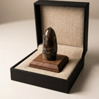 Labradorite Point Crystal | Focus & Transformation